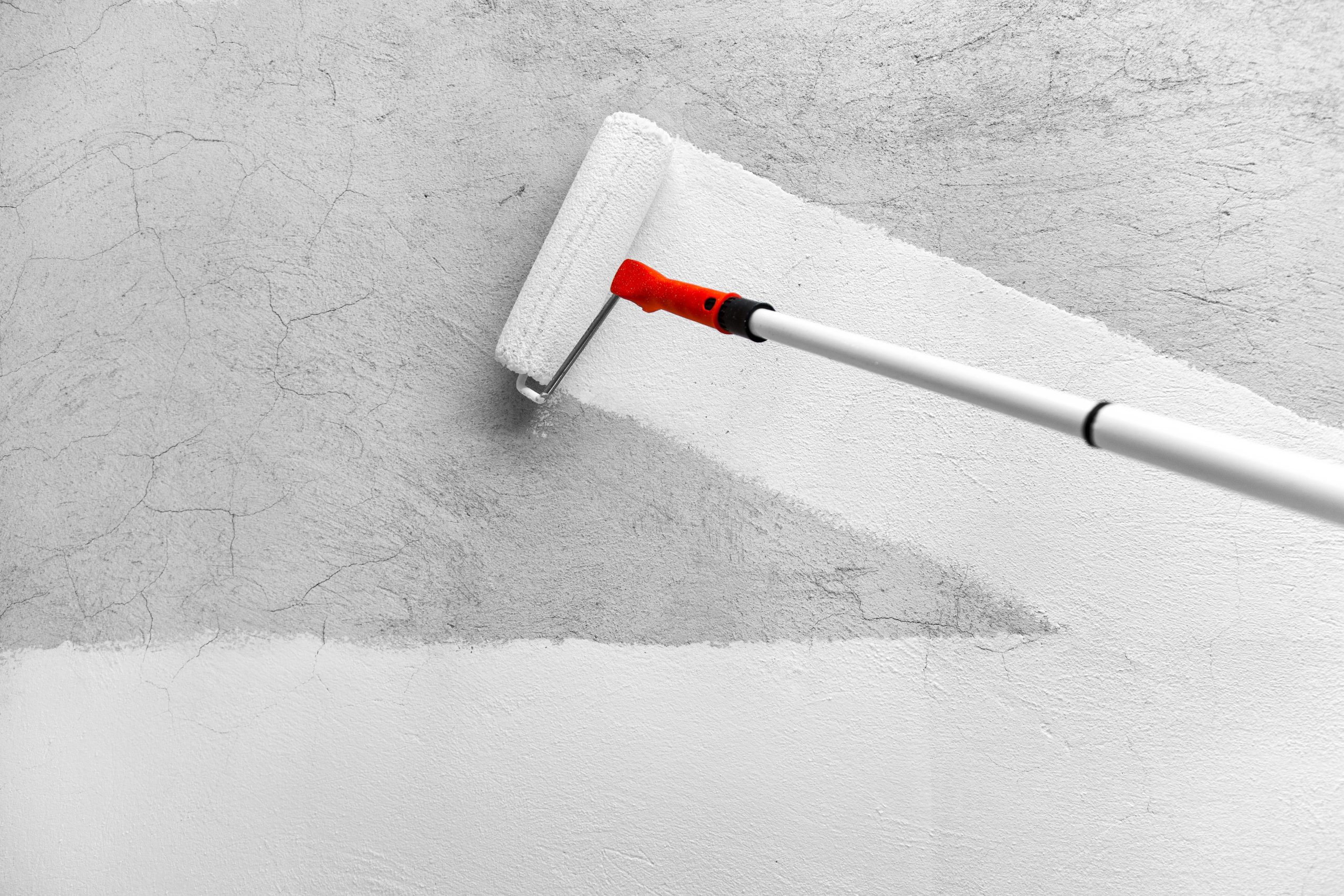 Painted to Perfection, a paint roller applies white paint over a gray wall.
